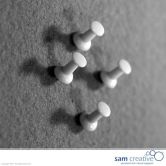 Kit 40 spilli bianche