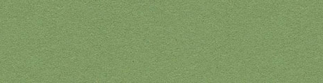 Linoleum Verde Linoleum Verde